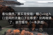 看似偶然，其实是安排：糖心vlog入口官网的流量口子在哪里？别再瞎猜了，就在缓存（一条讲透）