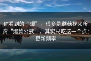 你看到的“爆”，很多是蘑菇视频所谓“爆款公式”，其实只吃这一个点：更新频率