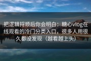 把逻辑捋顺后你会明白：糖心vlog在线观看的冷门分类入口，很多人用很久都没发现（越看越上头）