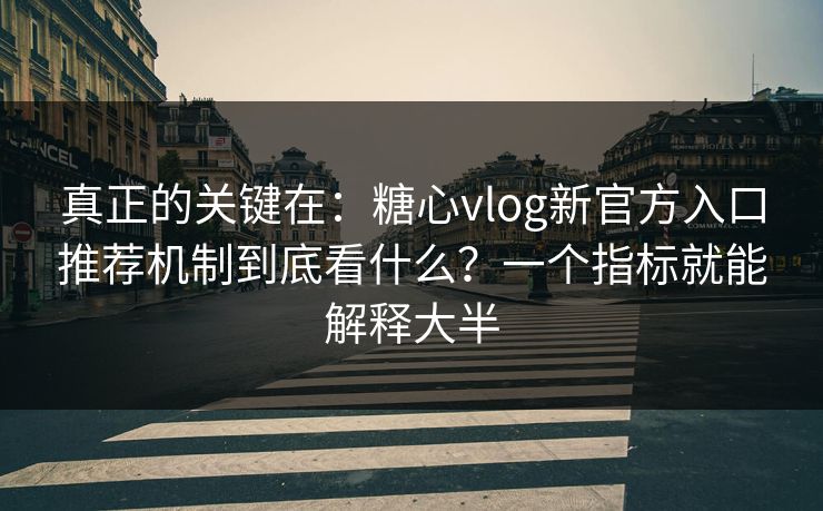 真正的关键在：糖心vlog新官方入口推荐机制到底看什么？一个指标就能解释大半