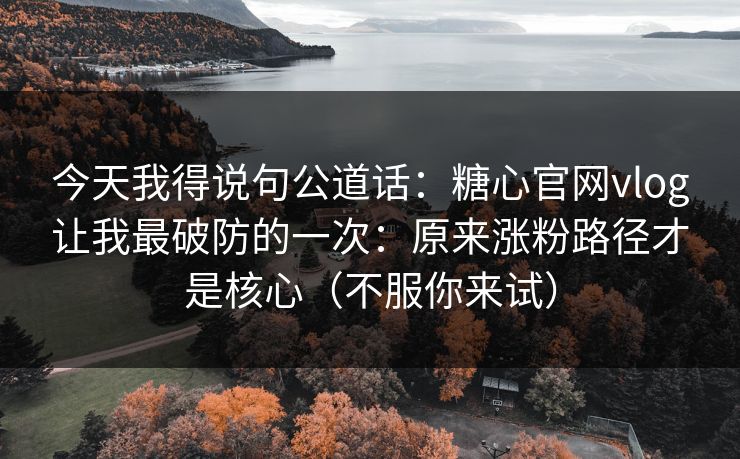 今天我得说句公道话：糖心官网vlog让我最破防的一次：原来涨粉路径才是核心（不服你来试）