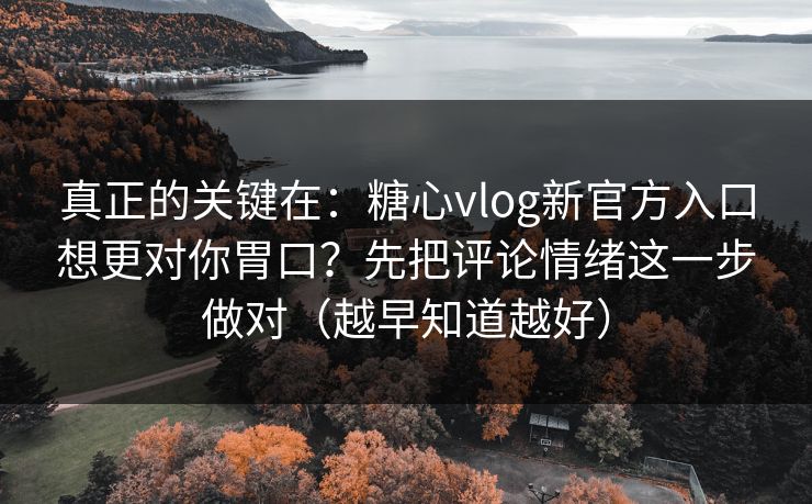 真正的关键在：糖心vlog新官方入口想更对你胃口？先把评论情绪这一步做对（越早知道越好）