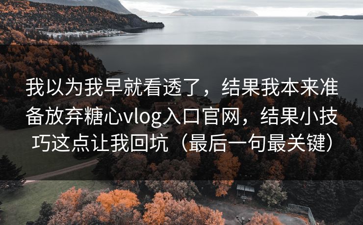 我以为我早就看透了，结果我本来准备放弃糖心vlog入口官网，结果小技巧这点让我回坑（最后一句最关键）