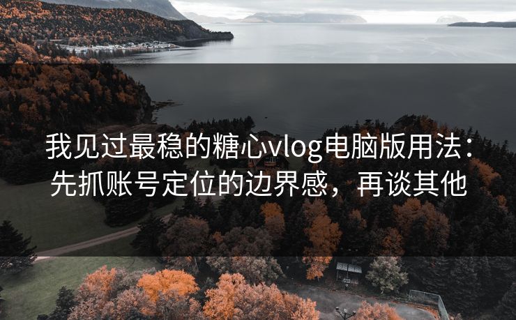 我见过最稳的糖心vlog电脑版用法：先抓账号定位的边界感，再谈其他