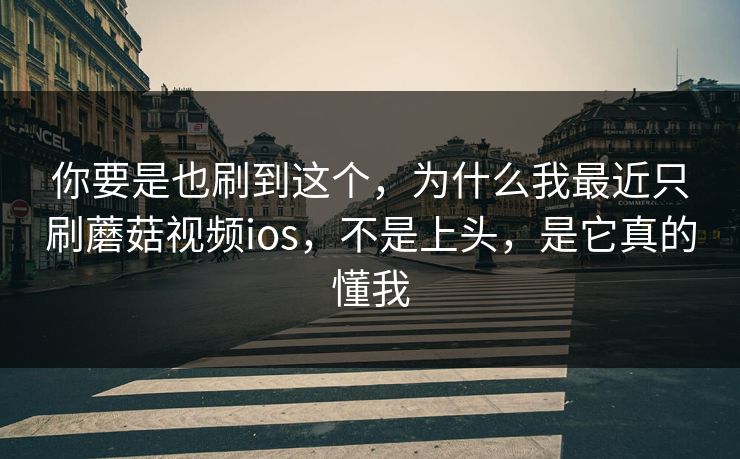 你要是也刷到这个，为什么我最近只刷蘑菇视频ios，不是上头，是它真的懂我
