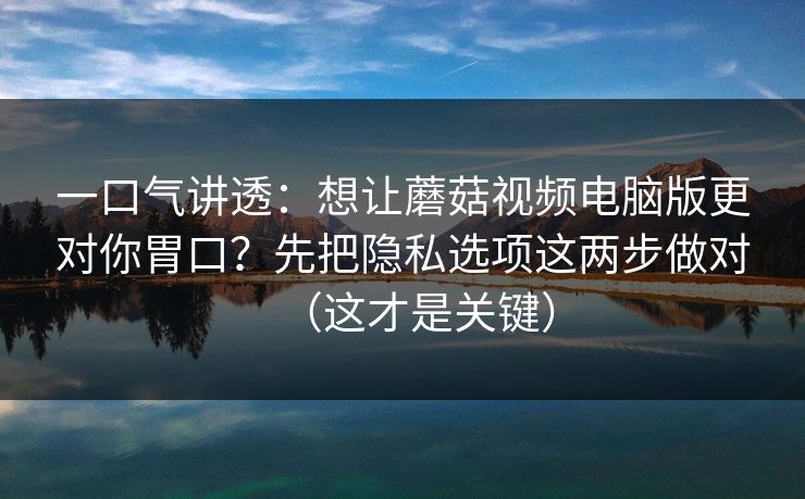 一口气讲透：想让蘑菇视频电脑版更对你胃口？先把隐私选项这两步做对（这才是关键）