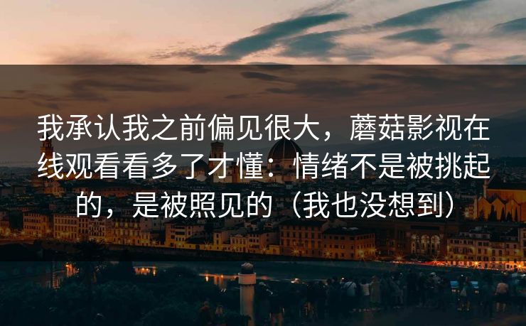 我承认我之前偏见很大，蘑菇影视在线观看看多了才懂：情绪不是被挑起的，是被照见的（我也没想到）
