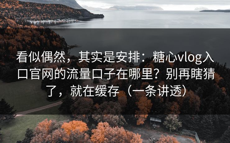 看似偶然，其实是安排：糖心vlog入口官网的流量口子在哪里？别再瞎猜了，就在缓存（一条讲透）