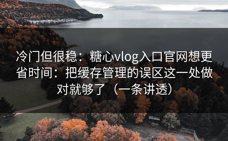冷门但很稳：糖心vlog入口官网想更省时间：把缓存管理的误区这一处做对就够了（一条讲透）