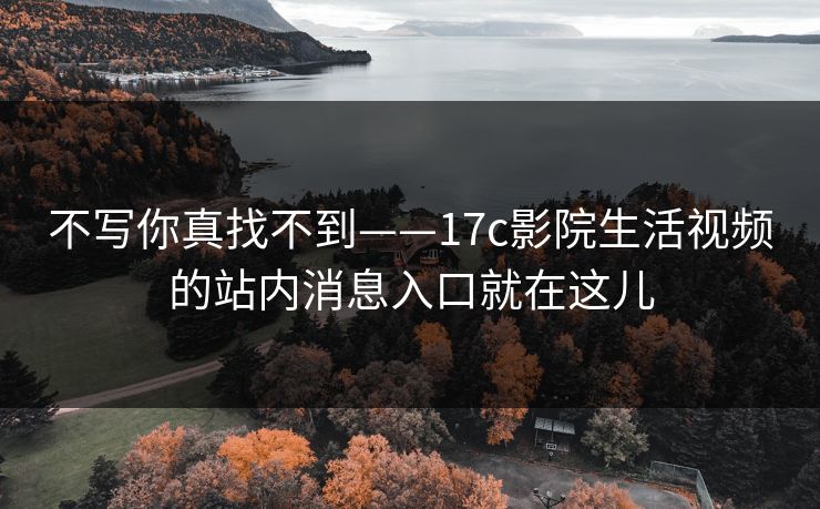 不写你真找不到——17c影院生活视频的站内消息入口就在这儿